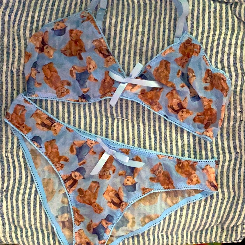 ✨DONATED✨ Shear Teddy Lingerie Set
